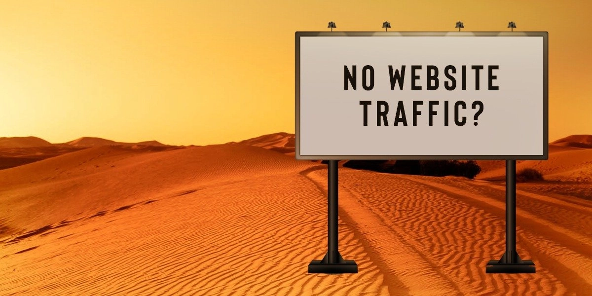 No Website Traffic?